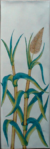 decoro canneto